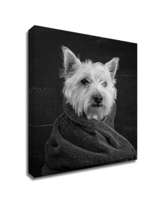Tangletown Fine Art