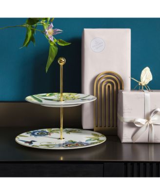 Amazonia  2 Tier Server