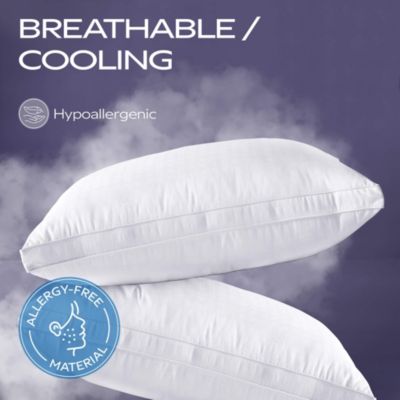 Maxi Luxurious Hotel Style Pillows 300 Thread Count 2 Pack