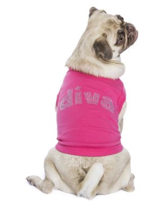 Diva Dog T Shirt