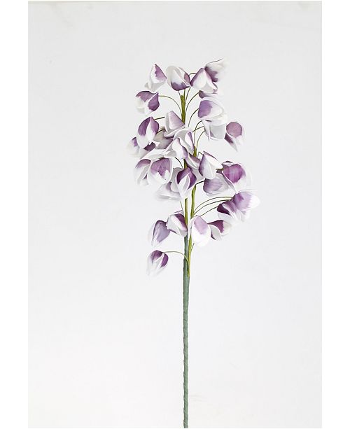 Marshall Home Gardens Marshall Home Garden Plant With Flowing