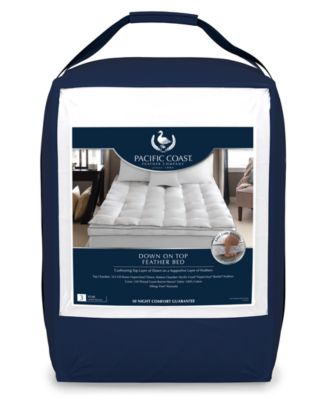 Pacific Coast Feather Pacific Coast Down On Top Feather Bed Mattress   16971393 Fpx.tif