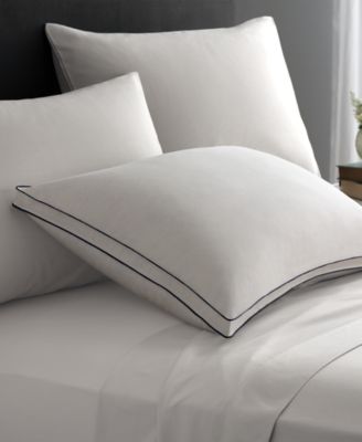 Pacific coast king pillow best sale