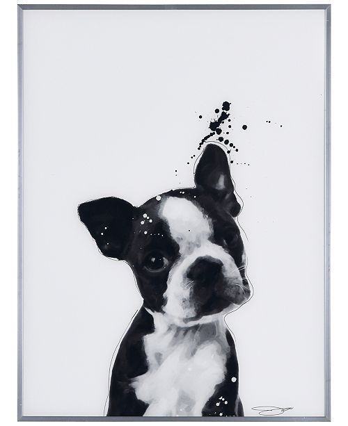 Empire Art Direct Boston Terrier Pet Paintings On Reverse Printed Glass Encased With A Gunmetal Anodized Frame Wall Art 24 X 18 X 1 Reviews All Wall Decor Home Decor Macy S