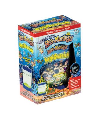 Sea Monkey's