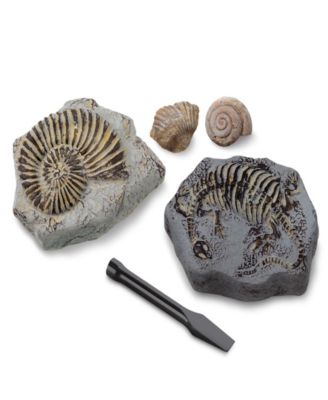 Discovery #Mindblown Toy Excavation Kit Mini Fossil, 2 Pieces