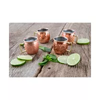 Thirstystone by Cambridge Moscow Mule Mug Shot Glasses Set of 4 Deals