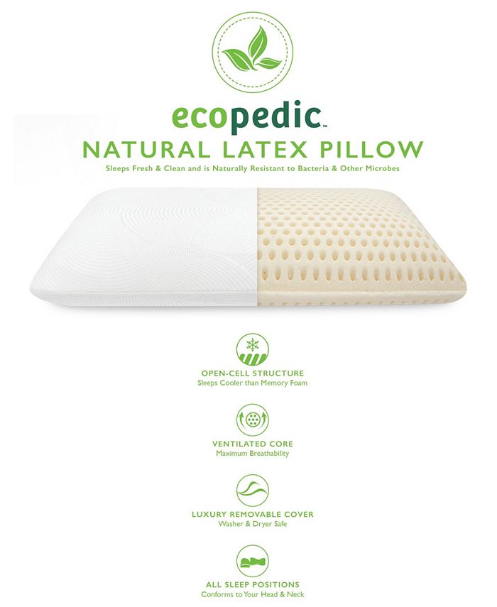 EcoPEDIC Natural Talalay Latex Bed Pillow, Jumbo Macy's
