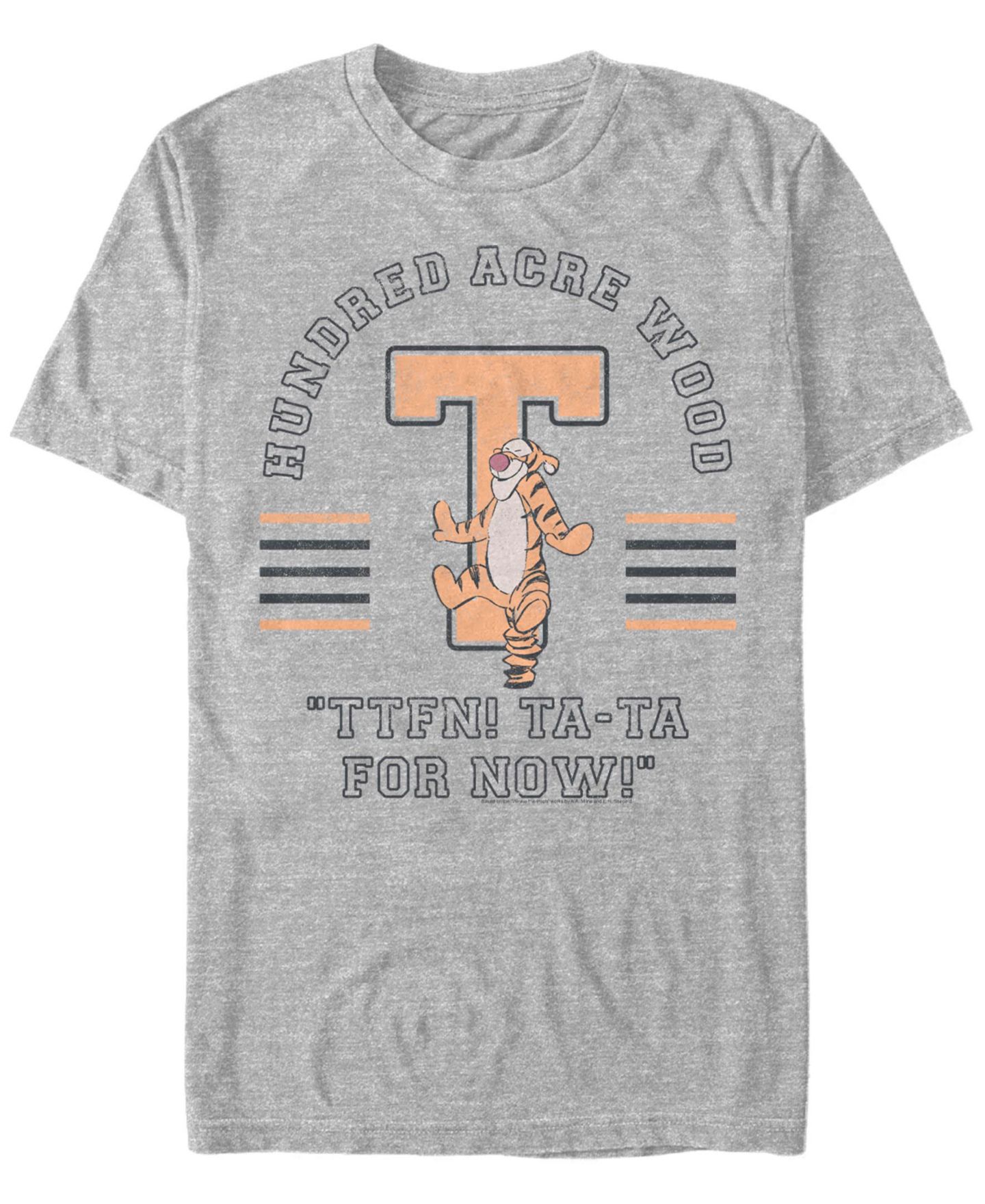 Мужская футболка Fifth Sun Tigger Collegiate Short Sleeve, цвет: Меланжевый серый — фото 1