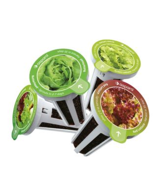 Aspara - KLS0001 8 capsule seed kit - Lettuce Selected