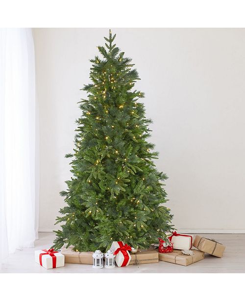 Northlight Pre Lit Full Mixed Rosemary Angel Pine Artificial Christmas Tree Reviews Holiday Shop Home Macy S