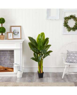 Triple Stalk Banana Tree, Real Touch