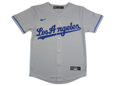 Big Boys and Girls Los Angeles Dodgers Official Blank Jersey