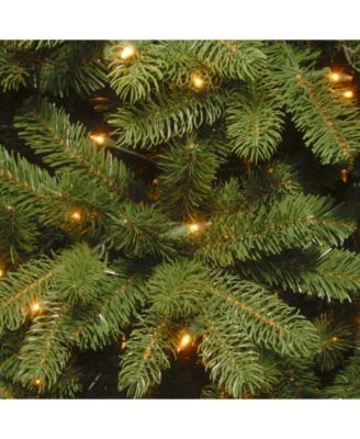 National Tree Company National Tree 4 .5' Feel Real Newberry Spruce Slim Hinged Tree with 200 Dual Color LED Lights Power Connect