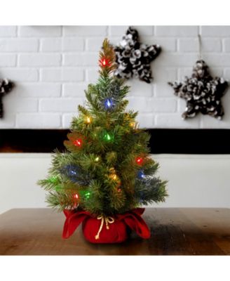 24" Majestic Spruce Tree in Burgundy Cloth Bag with 35 Multi Battery Operated LED Lights