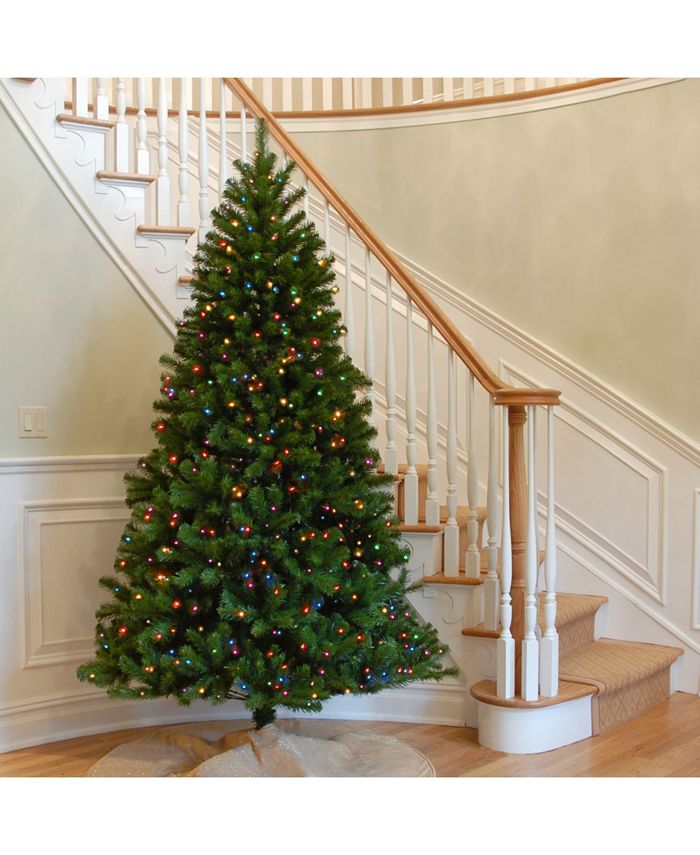 National Tree Company National Tree 9' North Valley Spruce Tree with ...