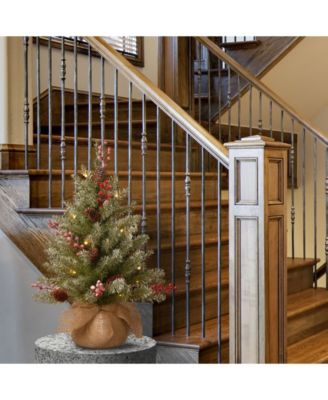 National Tree Company 2' Dunhill® Fir Tree with 15 Warm White Battery Operated LED Lights