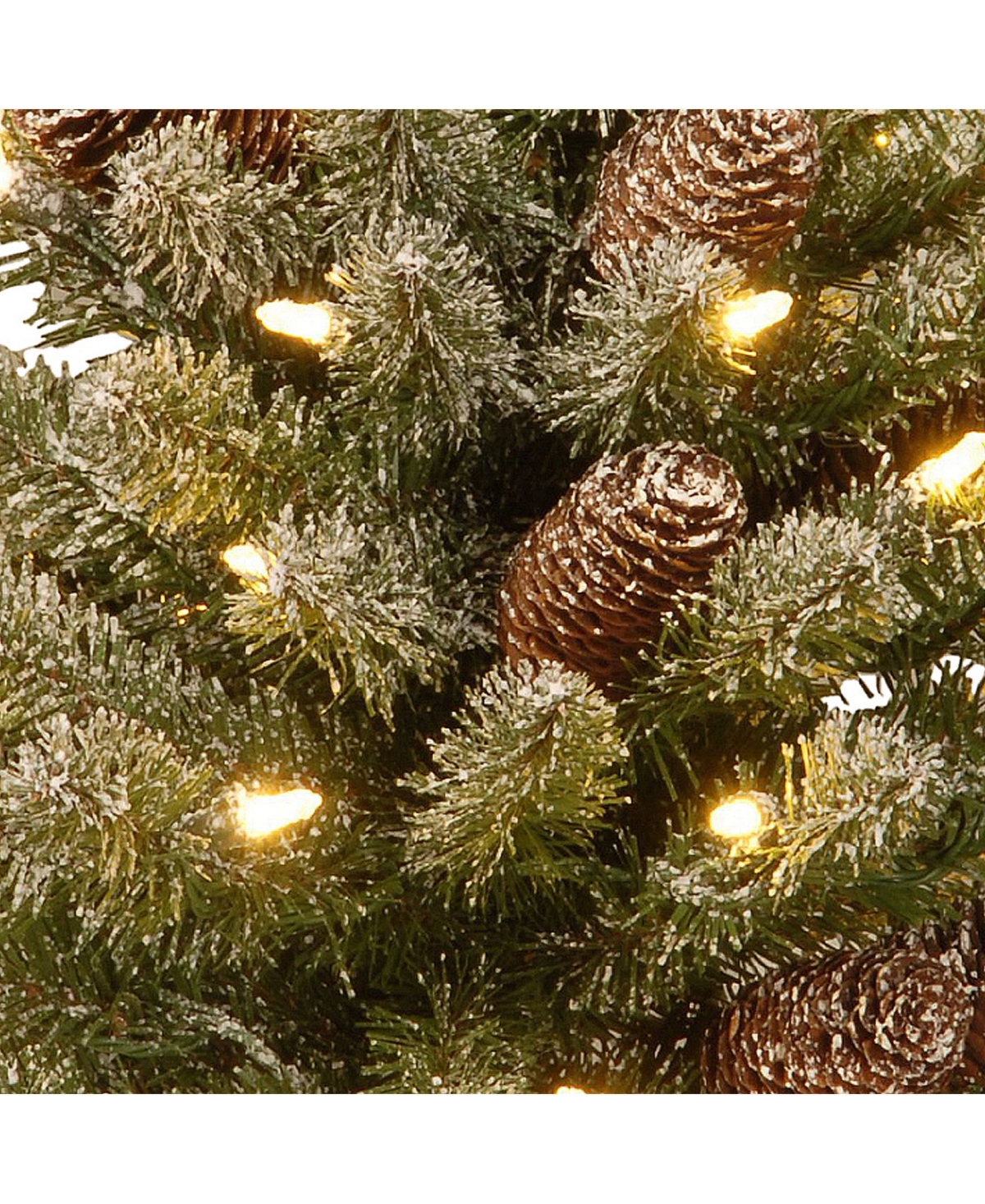 National Tree Company Snowy Concolor Fir Small Tree in Burlap with Snowy Cones & 50 Warm White Battery Operated LEDs with Timer