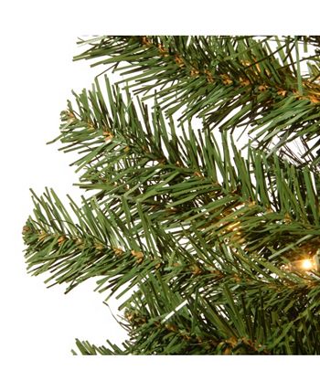 National Tree Company - 5' Montclair Spruce Entrance Tree in 12" Black/Gold Plastic Pot with 100 Clear Lights