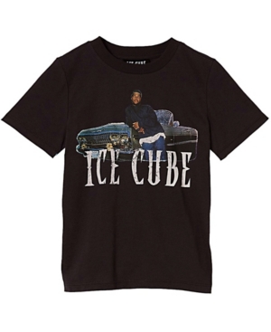 image of Cotton On Little Boys Co-Lab Short Sleeve T-Shirt