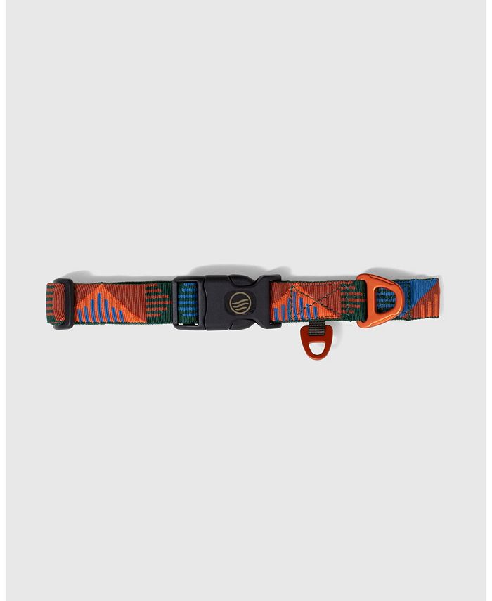 United by shop blue dog collar
