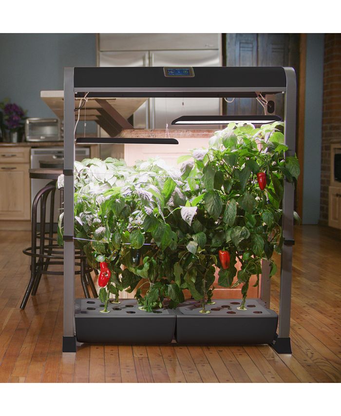 AeroGarden Farm XL Salad Bar 24Pod Seed Kit & Reviews Small