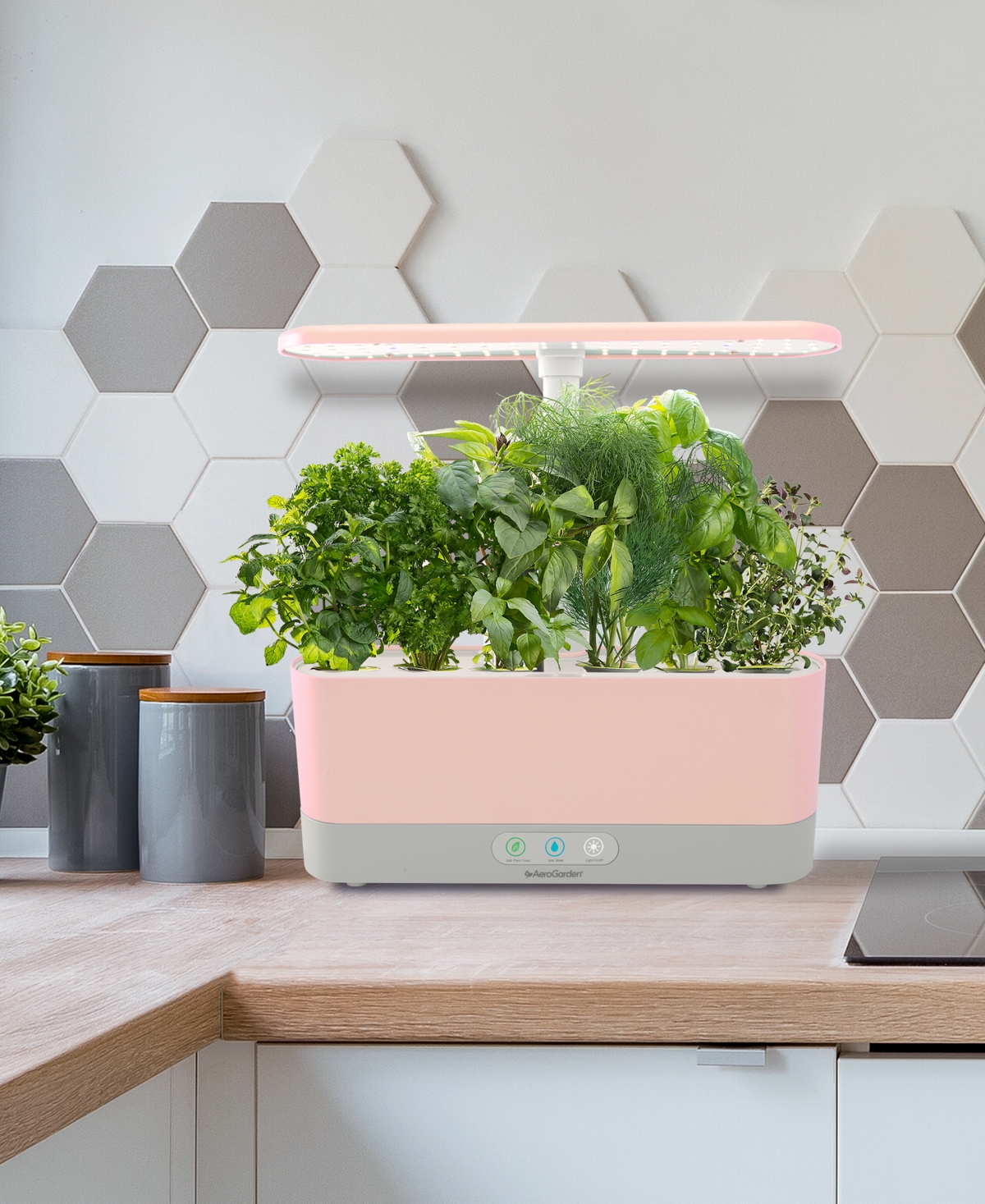 Aerogarden Harvest Slim With Gourmet Herb Seed Pod Kit - Hydroponic Indoor Garden In Pink