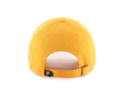 Pittsburgh Penguins CLEAN UP Cap