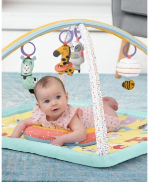 Skip Hop Abc and Me Activity Gym