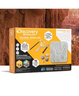 Toy Fossil Excavation Kit, 15 Pieces