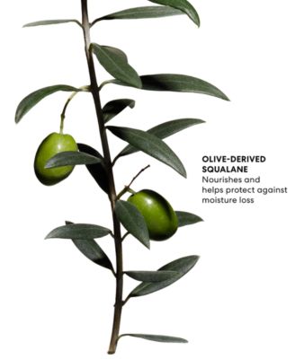 bareMinerals Original Liquid Mineral Foundation Broad Spectrum SPF 20, 1-oz.