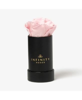 Infinity Roses