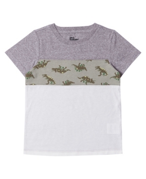 Little Boys Short Sleeve Graphic T-shirt