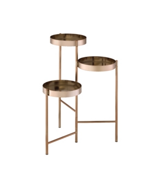 Shop Acme Furniture Namid Plant Stand In Gold-tone