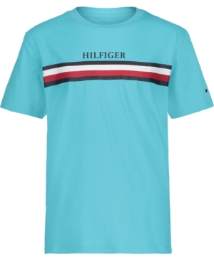 Big Boys Chest Global Stripe Shorts Sleeve Tee