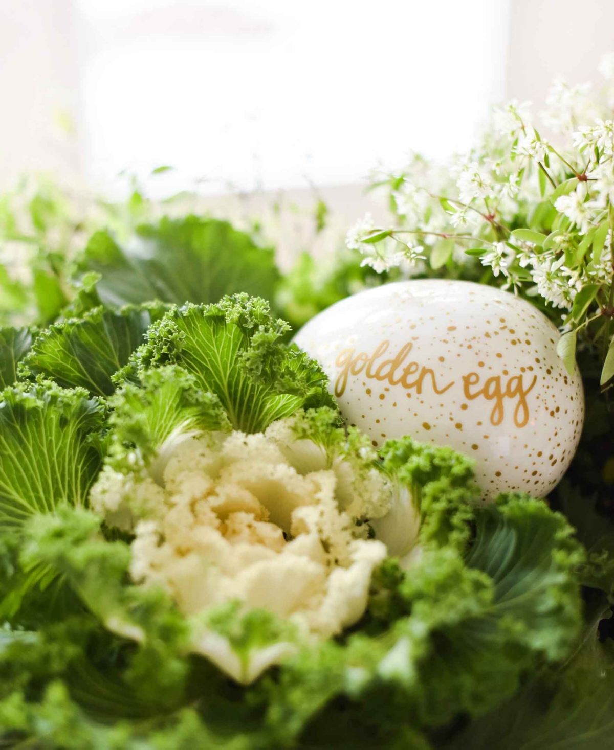 Coton Colors by Laura Johnson Speckled Golden Egg