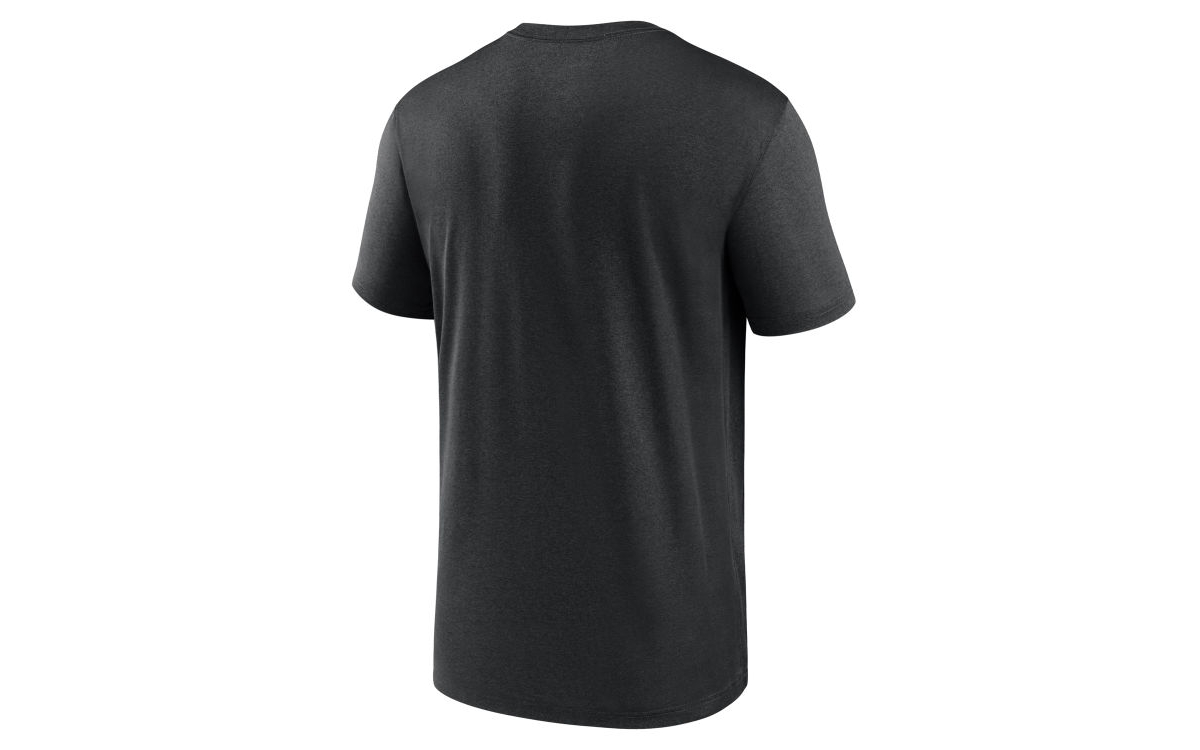 Nike Carolina Panthers Men's Icon Legend T-Shirt