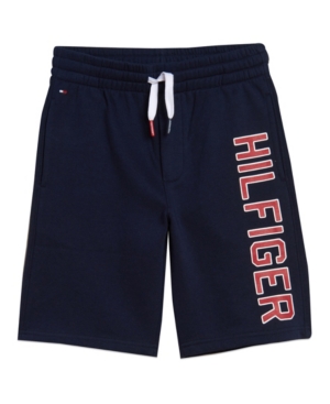 Little Boys Graphic Knit Short