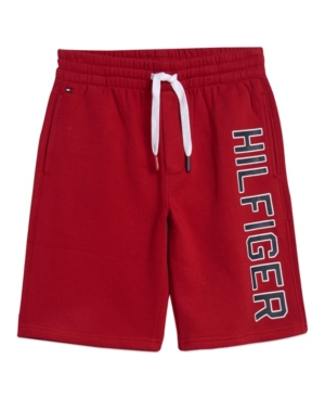 Little Boys Graphic Knit Short