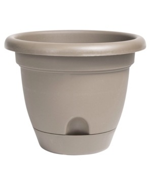 Bloem Lucca Self Watering Planter with 8