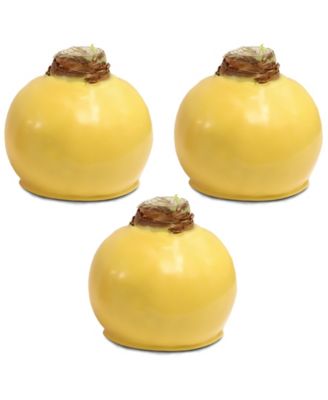 National Plant Network