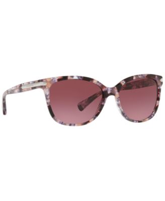 Sunglasses, HC8132