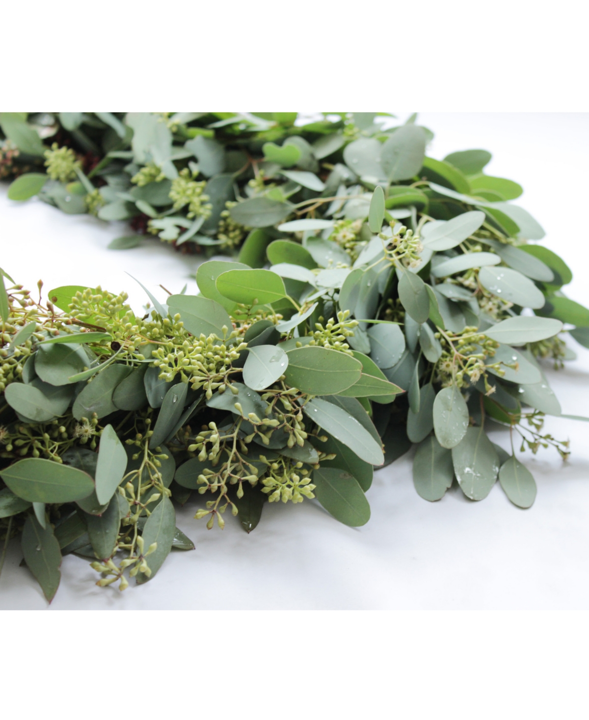 Magnolia Supply Co Fresh Seeded Eucalyptus Garland, 6' In No Color