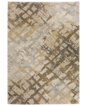 D Style Nola Or15 3'3" X 5'1" Area Rug In Silver-tone
