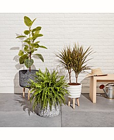 Planter & Vase Collection