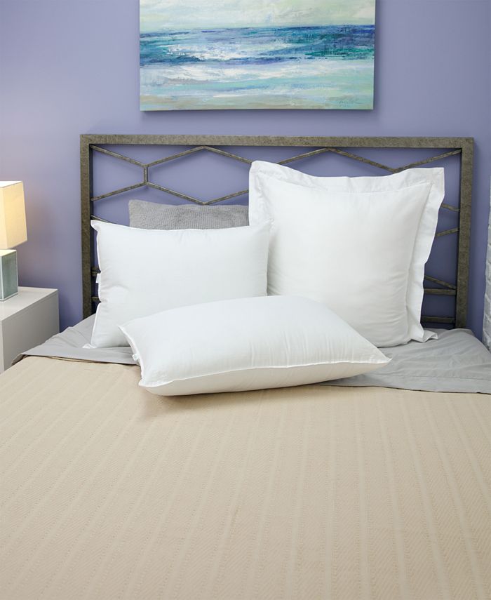 BioPEDIC 2 Piece Fresh and Clean Pillow with UltraFresh Treated Fiber