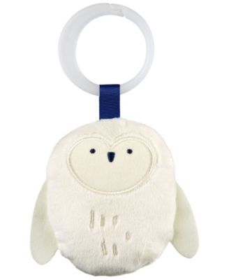 Celestial Dreams Activity Gym