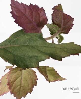 Eau de Parfum, 1.6-oz.