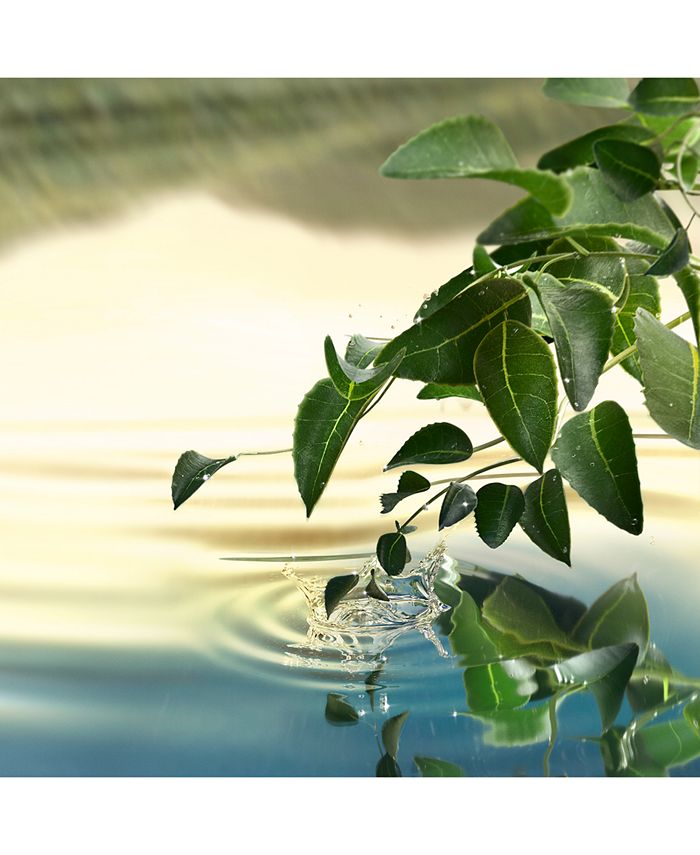 Estée Lauder Tender Light Eau de Parfum Spray, 3.4-oz. - Macy's