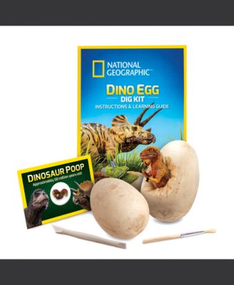 Dino Egg Dig Kit
